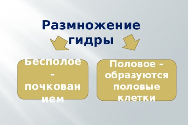 Золотая коллекция ссылок omg