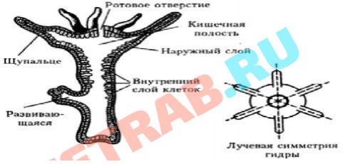 Omg omg зеркало рабочее